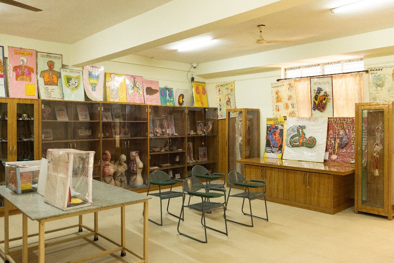 Anatomy lab with skeletons, anatomical models, and classroom seating
